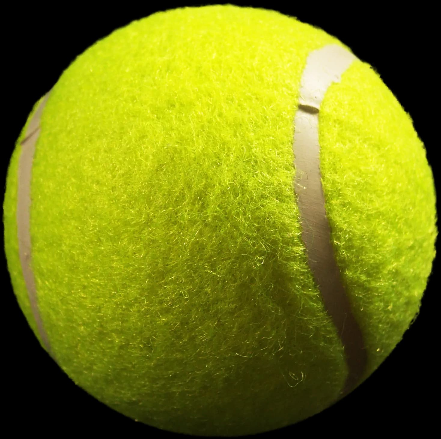 sportision welcome image